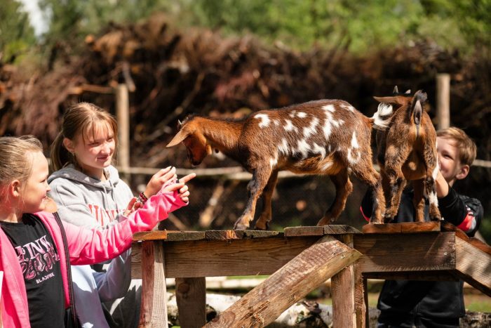 Family Holidays Gauja National park, Latvia
