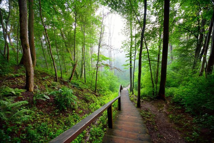 Pristine nature Gauja National Park, Latvia