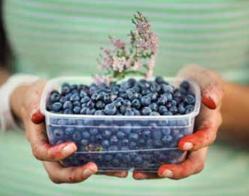 Food lover's guide in Latvian