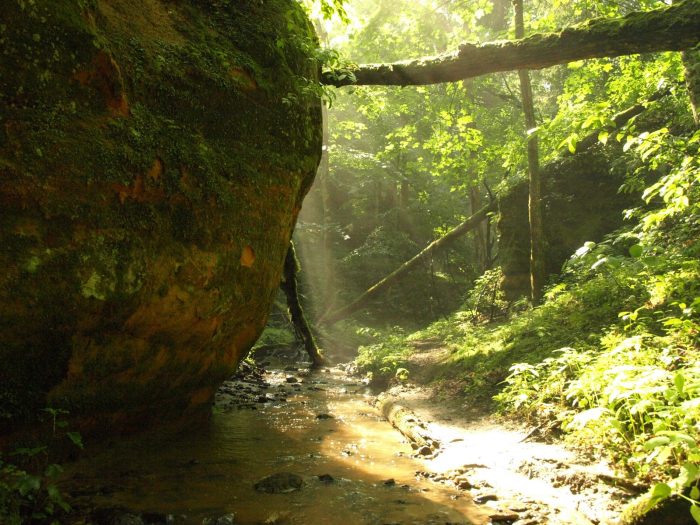 Fayritail canyon