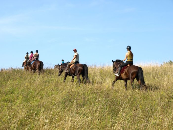 Riders in meadow