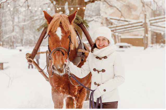 Winter in Gauja National Park