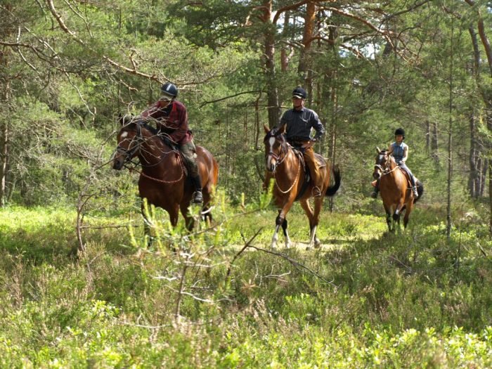 AdventureRide equestrian horseback riding vacations