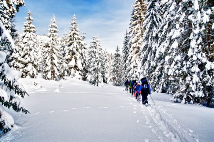 Enter Winter