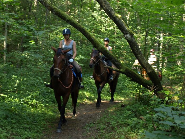 AdventureRide horseback riding vacations