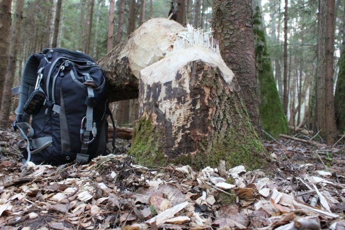 AdventureRide outdoor guide
