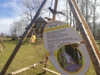 Thumb 0