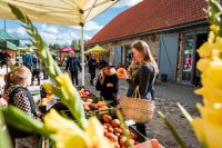 Thumb 0