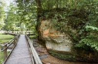 Thumb 0
