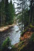 Thumb 0